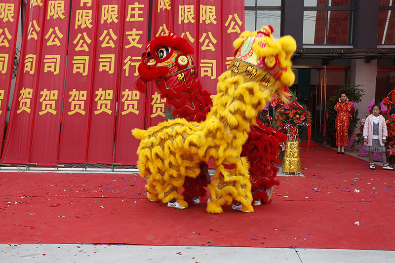 1511861135314922.jpg 15.jpg